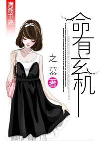 命有玄机封面