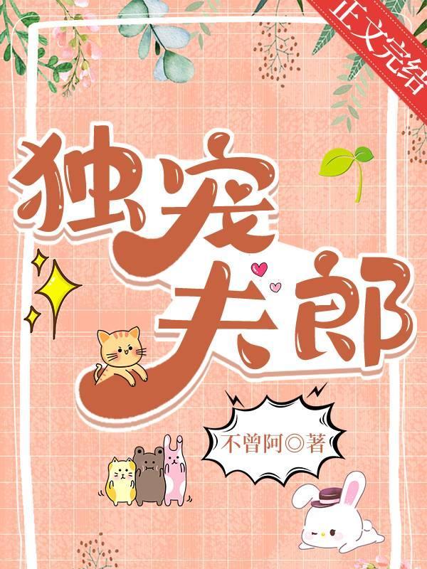 独宠夫郎封面