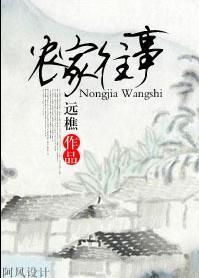 农家往事封面
