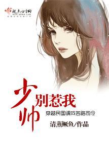 少帅别惹我封面