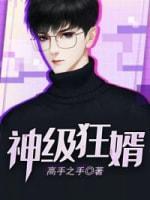 神级狂婿封面