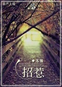 招惹封面