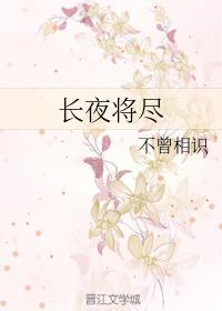 长夜将尽封面