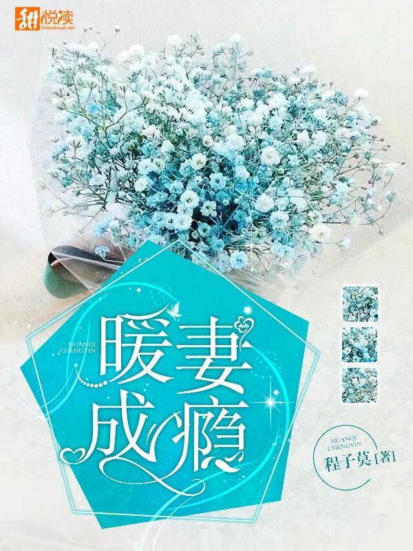 暖妻成瘾封面