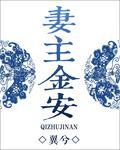 妻主金安封面