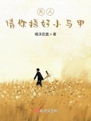 夫人，请你捂好小马甲封面