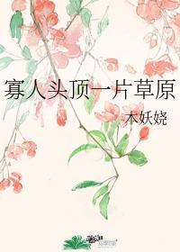 寡人头顶一片草原封面
