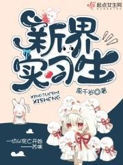 新界实习生封面