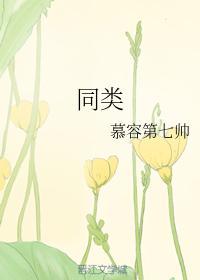 同类封面