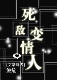 死敌变情人封面