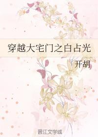 穿越大宅门之白占光封面