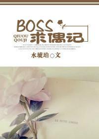 BOSS求偶记封面