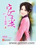 妾妻封面