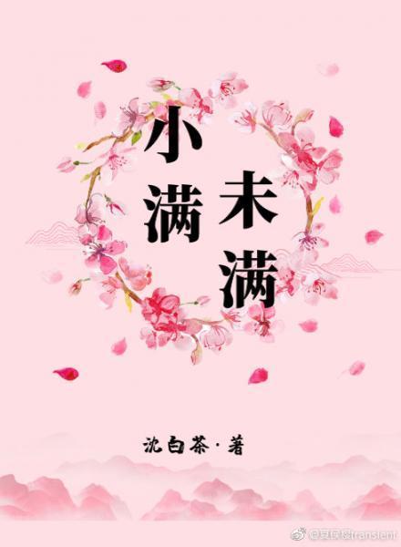 小满未满封面