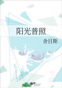 阳光普照封面