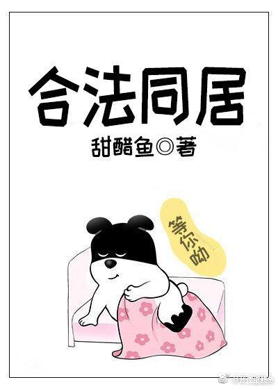 合法同居封面