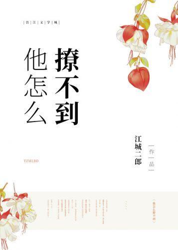 他怎么撩不到封面