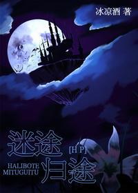 [HP]迷途·归途封面