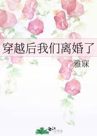 穿越后我们离婚了封面
