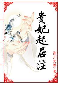 贵妃起居註封面