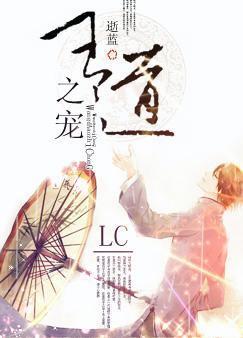 王道之宠封面