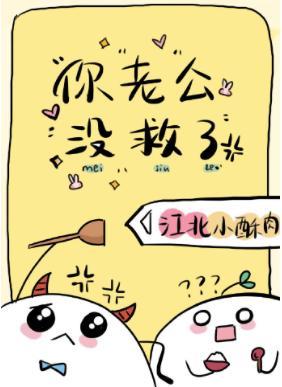 你的老公没救了封面