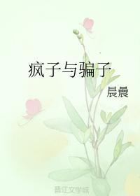疯子与骗子封面