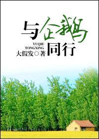与企鹅同行封面
