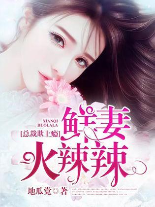 总裁欺上瘾：鲜妻火辣辣封面