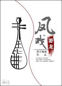 凤戏游龙封面