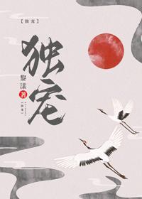 独宠封面