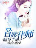 首席律师翻身手册封面