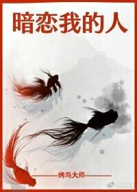 暗恋我的人封面