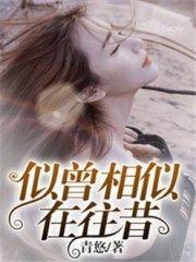 似曾相似在往昔顾筱笙南宫璃封面