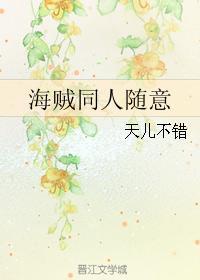 海贼同人随意封面