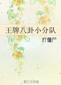 王牌八卦小分队封面
