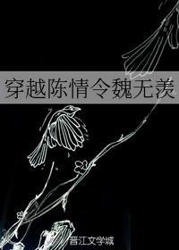 穿越陈情令魏无羡封面