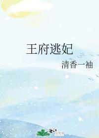 王府逃妃封面