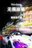 无畏寂寥封面
