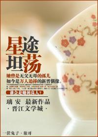星途坦荡封面