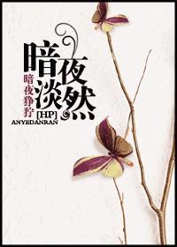 暗夜淡然封面