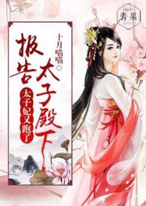 报告太子殿下，太子妃又跑了封面