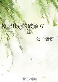 反派flag的破解方法封面