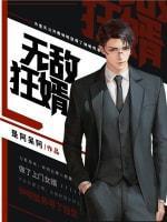 无敌狂婿封面
