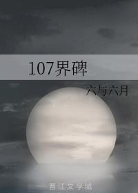 107界碑封面