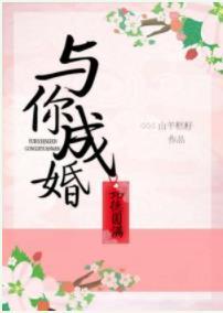 与你成婚功德圆满封面