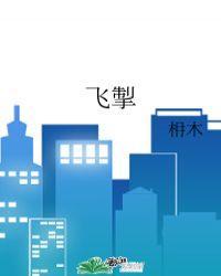 飞掣封面