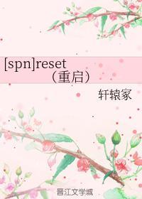reset（重启）封面