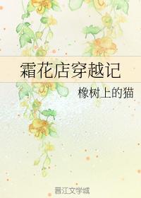 霜花店穿越记封面
