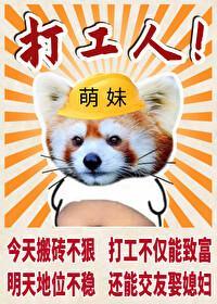 小熊猫的特殊任务技巧封面